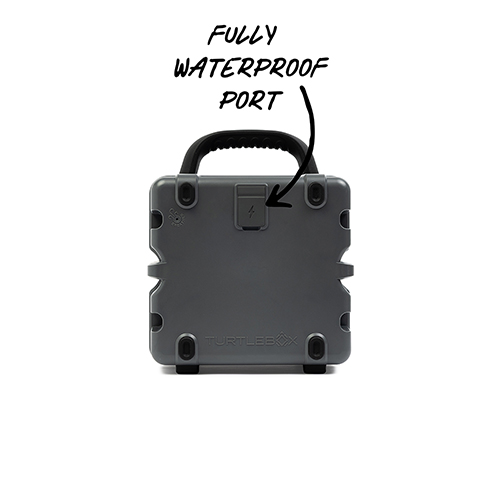 Cub-Gray_White-BG-HW_C-Back.jpg