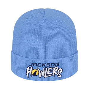 TKN24 In Stock USA Made Knit Cap with Cuff | Capamerica