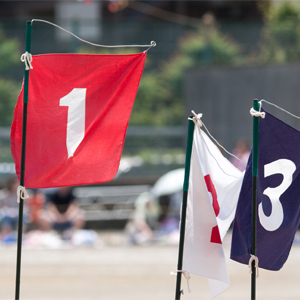 Flags