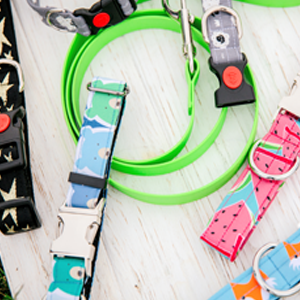 Pet Accessories