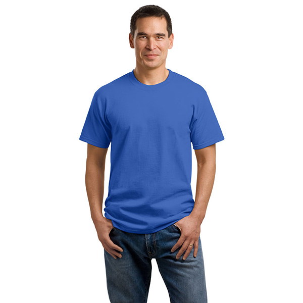 Model