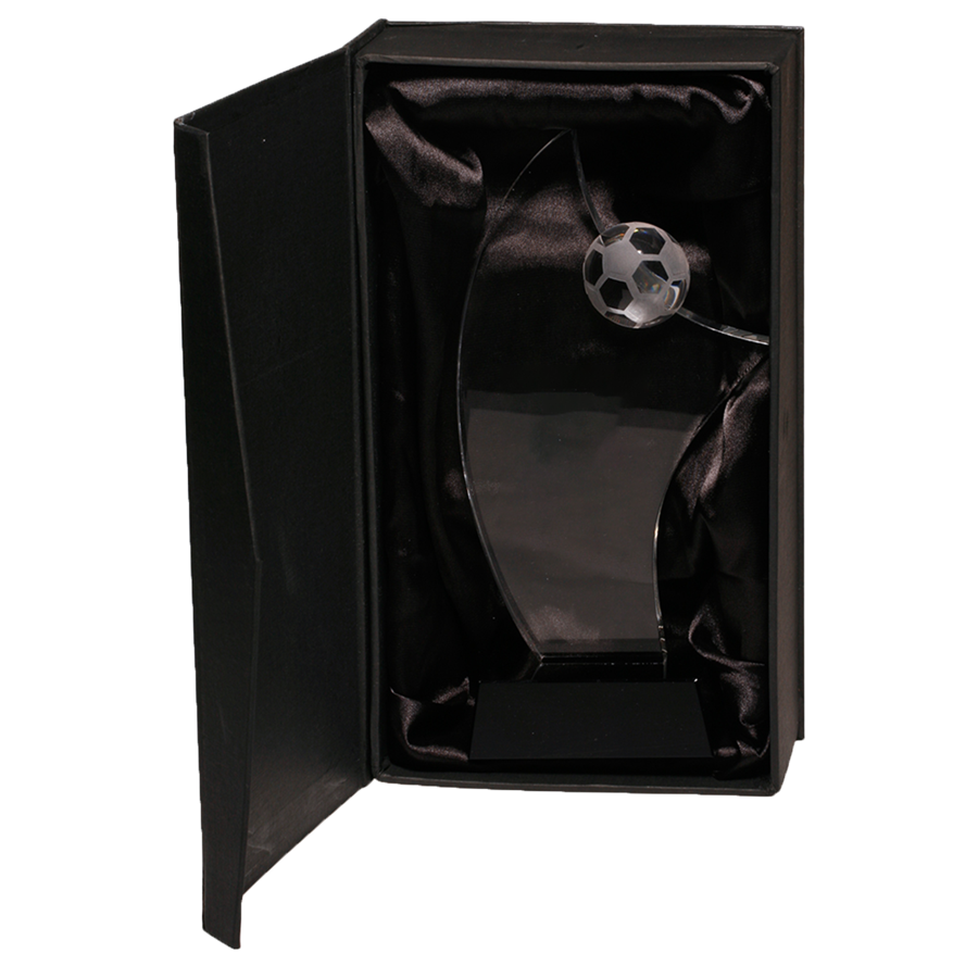 Crystal Soccer Achievement Award