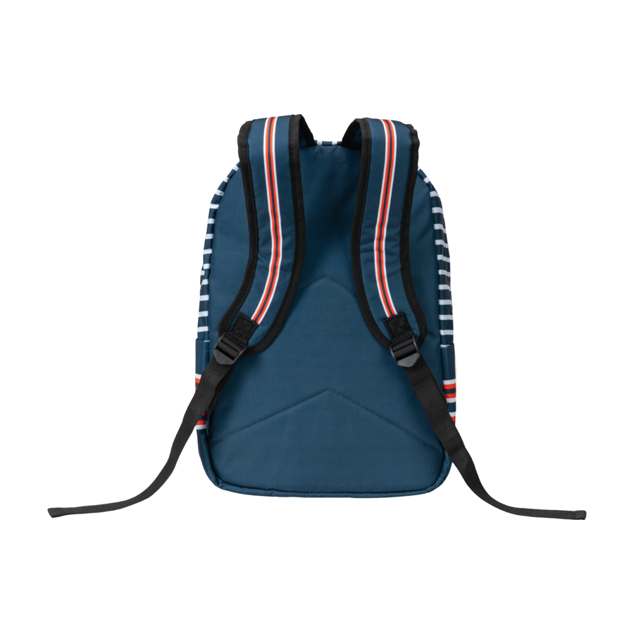 Back View