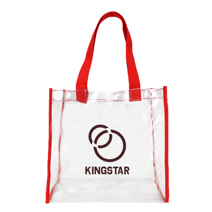 ClearPass Clear Shoulder Bag w/ Zipper