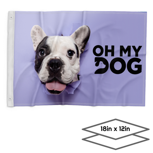 DOUBLE-SIDED DYE SUBLIMATION 2-LAYER 18IN X 12IN FLAG