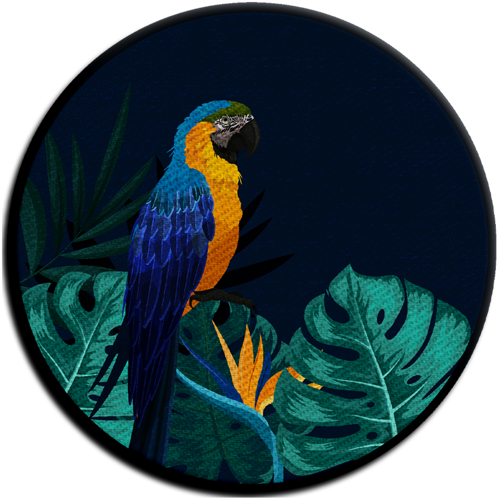 Product view