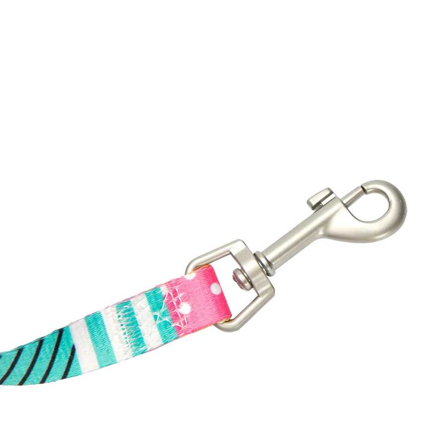 Carabiner view