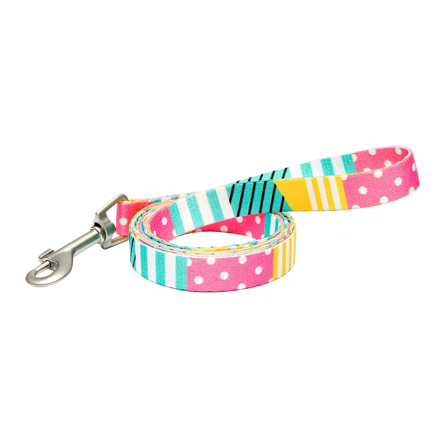 Sublimated Pet Leash with Snap Carabiner and Loop Handle