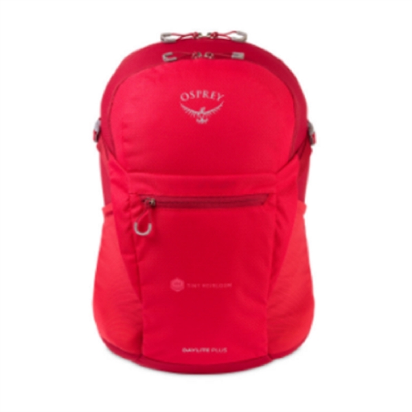 Custom Backpack - 17"