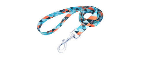 Dog Leash