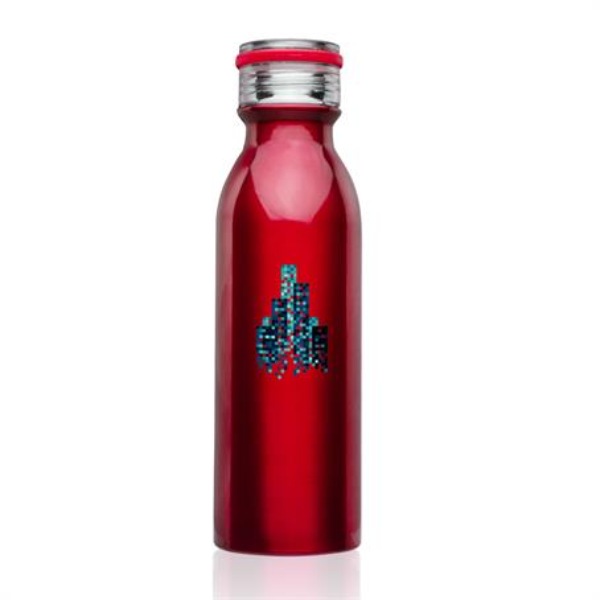20 Oz. Echo Stainless Steel Vacuum Custom Water Bottle