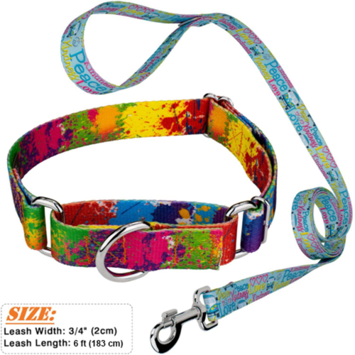 Custom Sublimation Dog Leash w/ Adjustable Collar & Carabiner