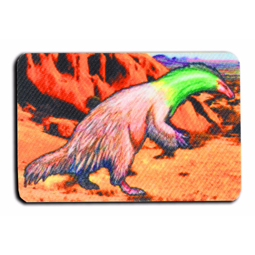 4.5" Sublimated Patch W/ Custom Imprint
