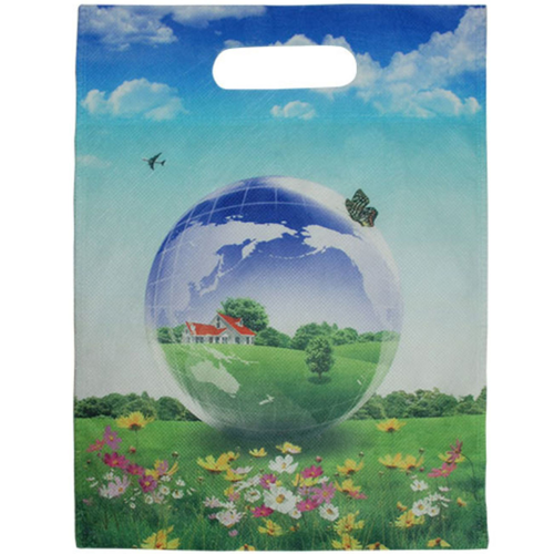10.25" x 13" 100 GSM Full Color Shopping Bag with Die-Cut Handles
