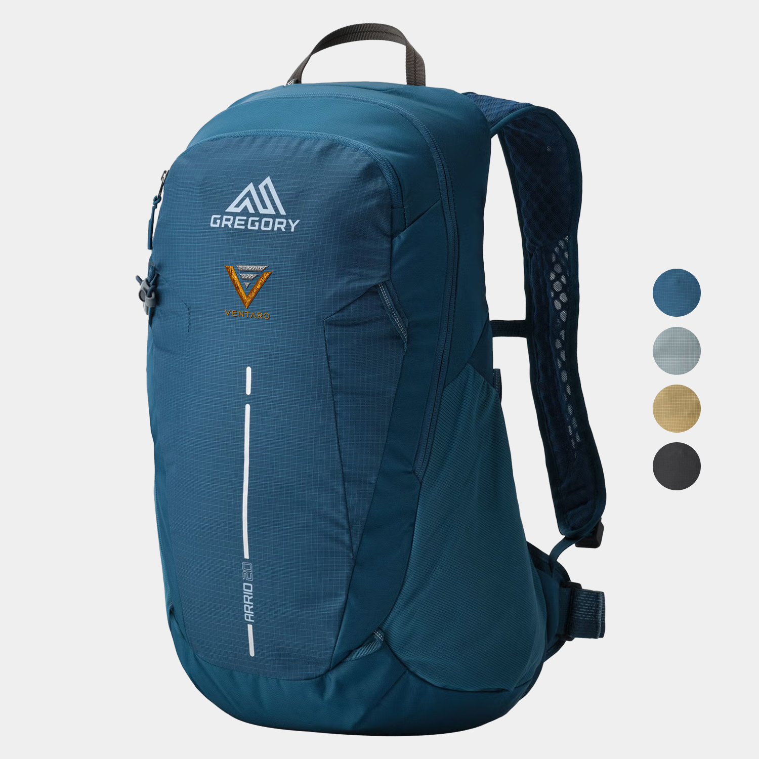 GREGORY® Arrio 20 Travel Backpack