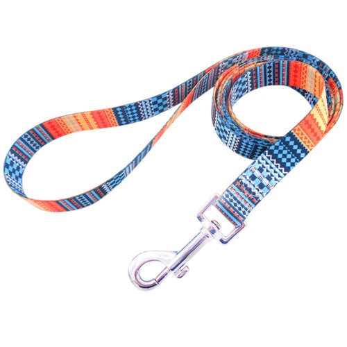 確認用　CCL Special Collection Comfort Control Collar - Lime Wave – SPARK PAWS